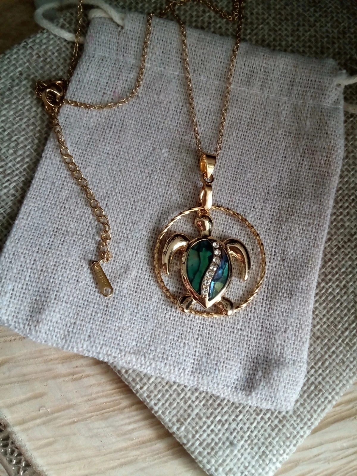 Golden and abalone turtle pendant necklace and golden circle – photo 4